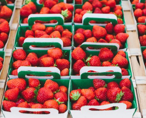 compra de plantas de fresas